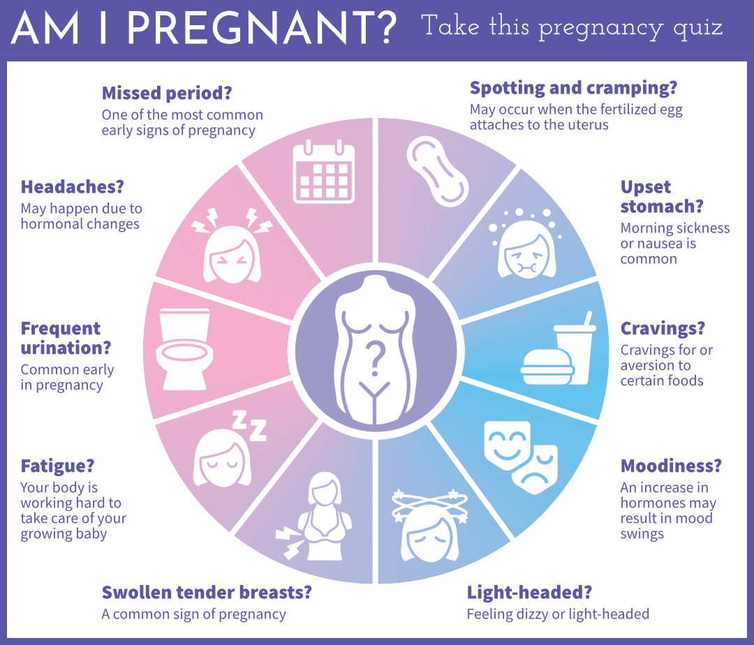 Pregnancy Quiz Infographic SMALL Pregnancy Quiz Infographic